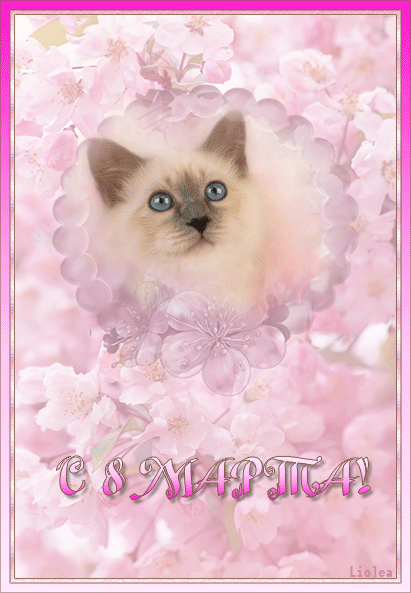 С днём женщин!